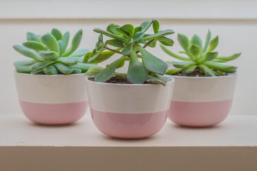 wholesale ceramic planter